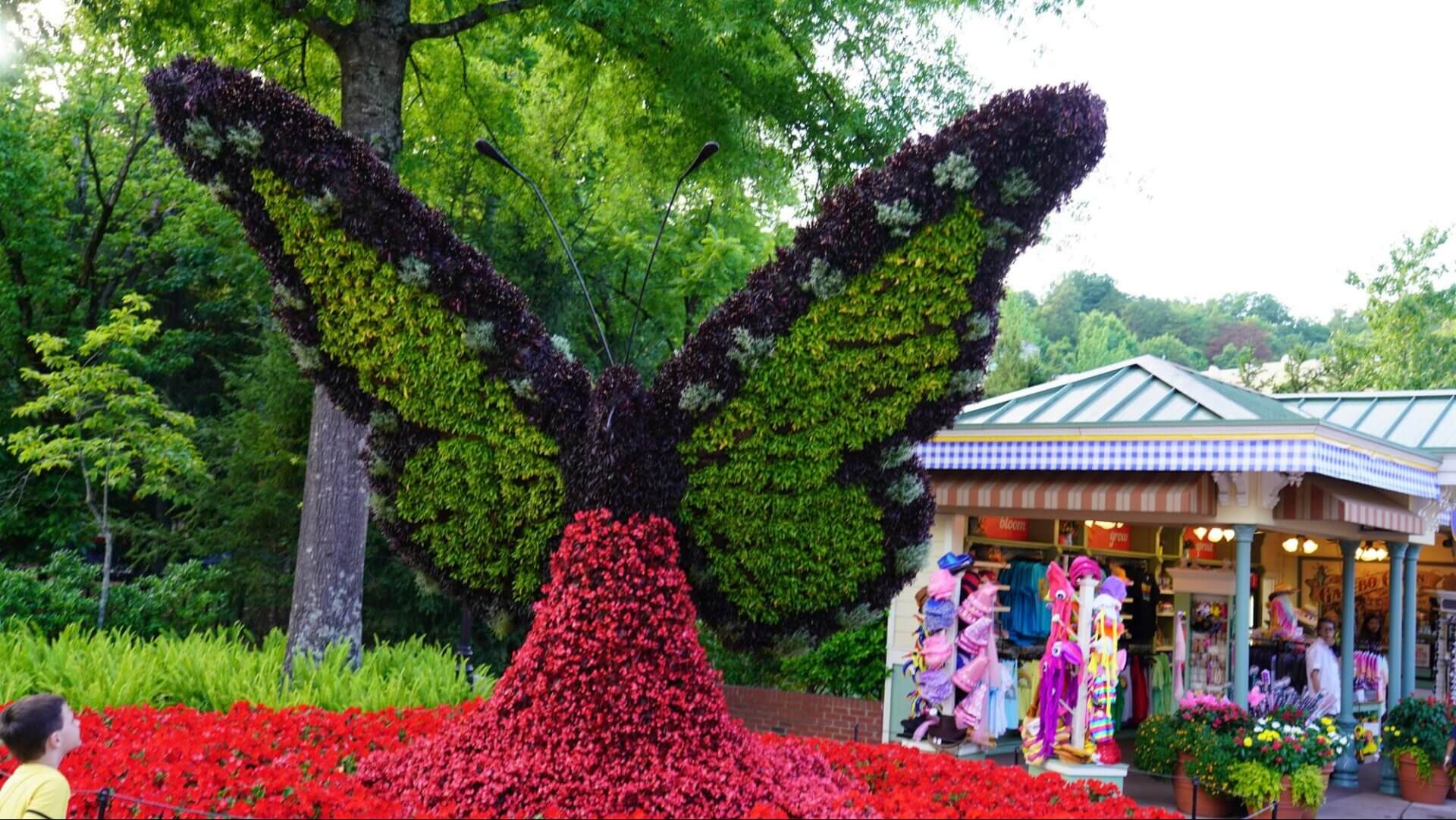 All About Dolly Parton: Childhood Home & Attractions