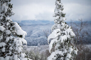 winter in the Great Smoky Mountains