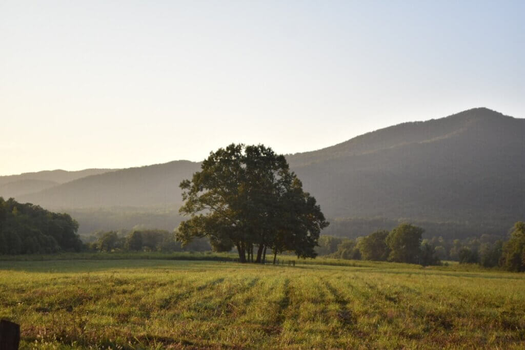 Cades Cove Cellars