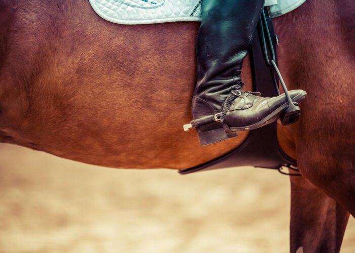 Horseback Riding in Pigeon Forge & Beyond For Cowboys!