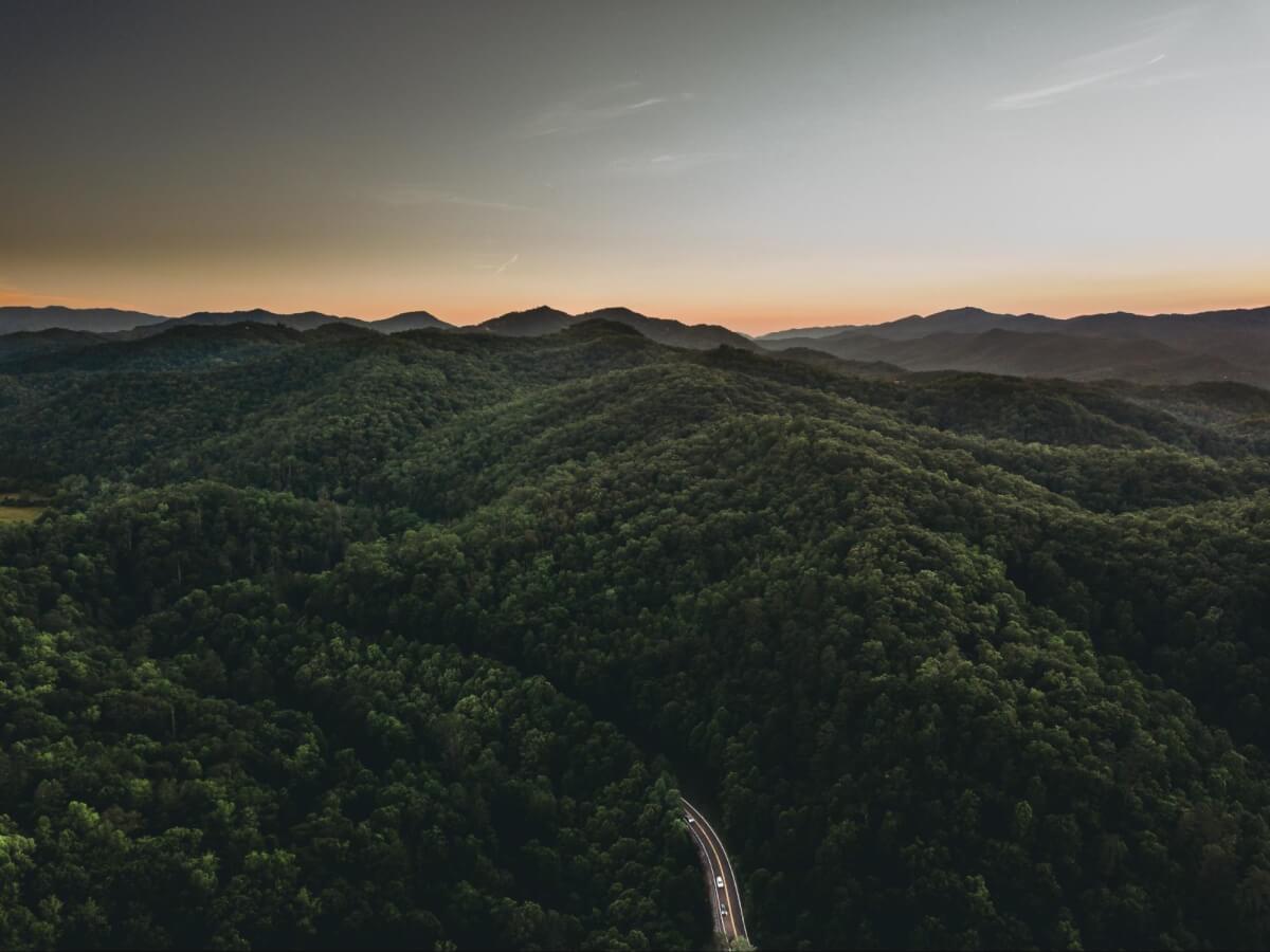 Ever Heard of Honking in the Smoky Mountain Tunnels?