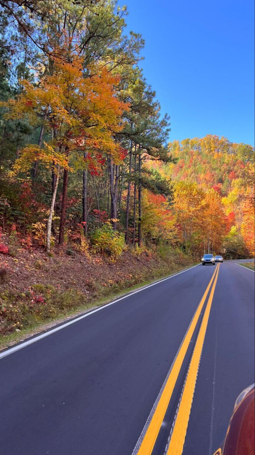 Best Smoky Mountain Scenic Drives On A Clear Day