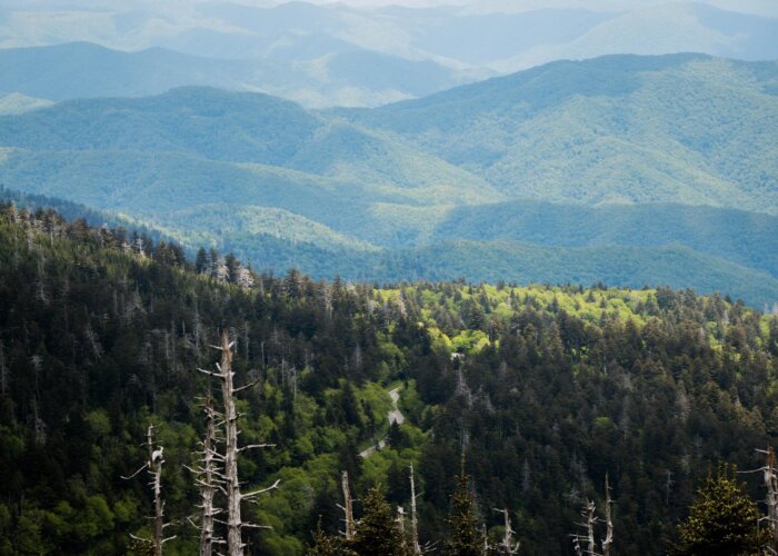 Best Smoky Mountain Scenic Drives On A Clear Day