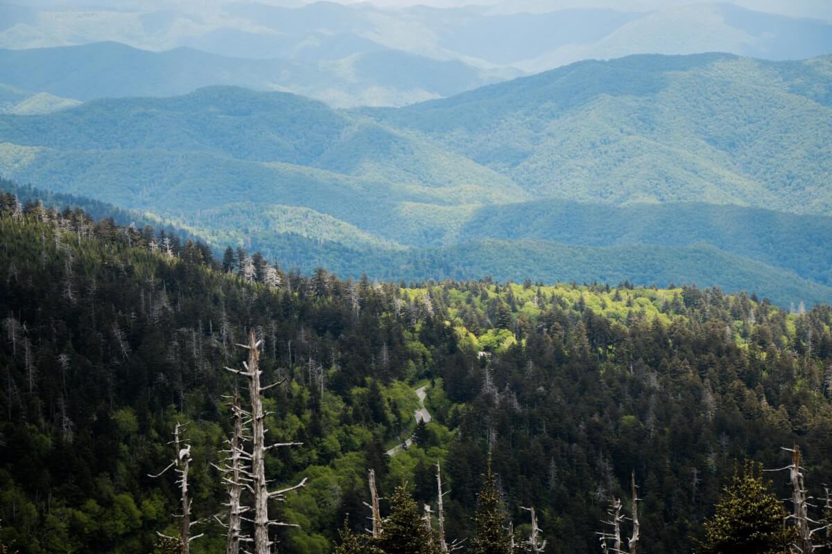Smoky Mountain scenic drives