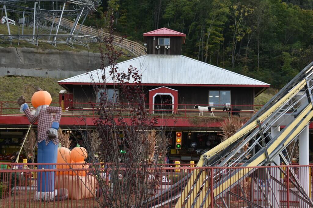 Goats on the Roof mountain coaster
