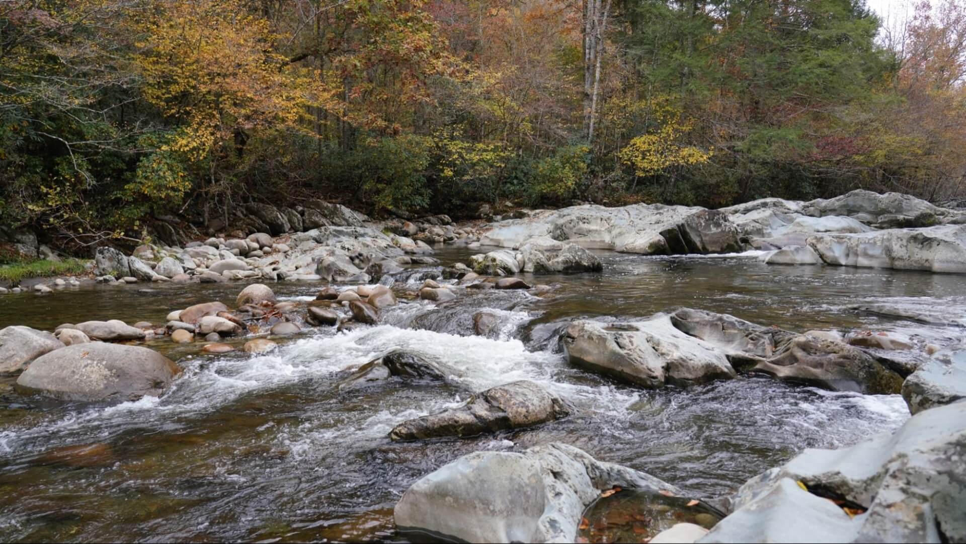Best Locations for Fishing in Gatlinburg, TN