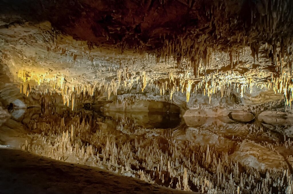 Bear Cave's stalactites reflected in an underground body of water