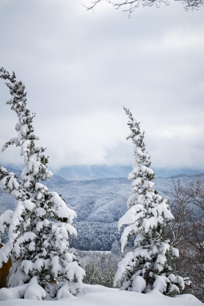 Snow-dusted evergreens frame a breathtaking view of the rolling hills in the Smoky Mountains, with clouds hanging low over the serene, wintry expanse
