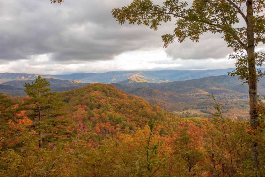 red and gold foliage blankets the Smoky Mountains