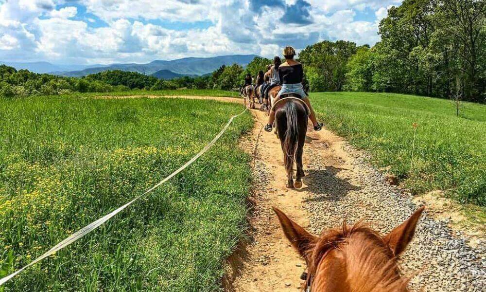 A person riding a horse on a mountain trail, surrounded by lush greenery and towering peaks.