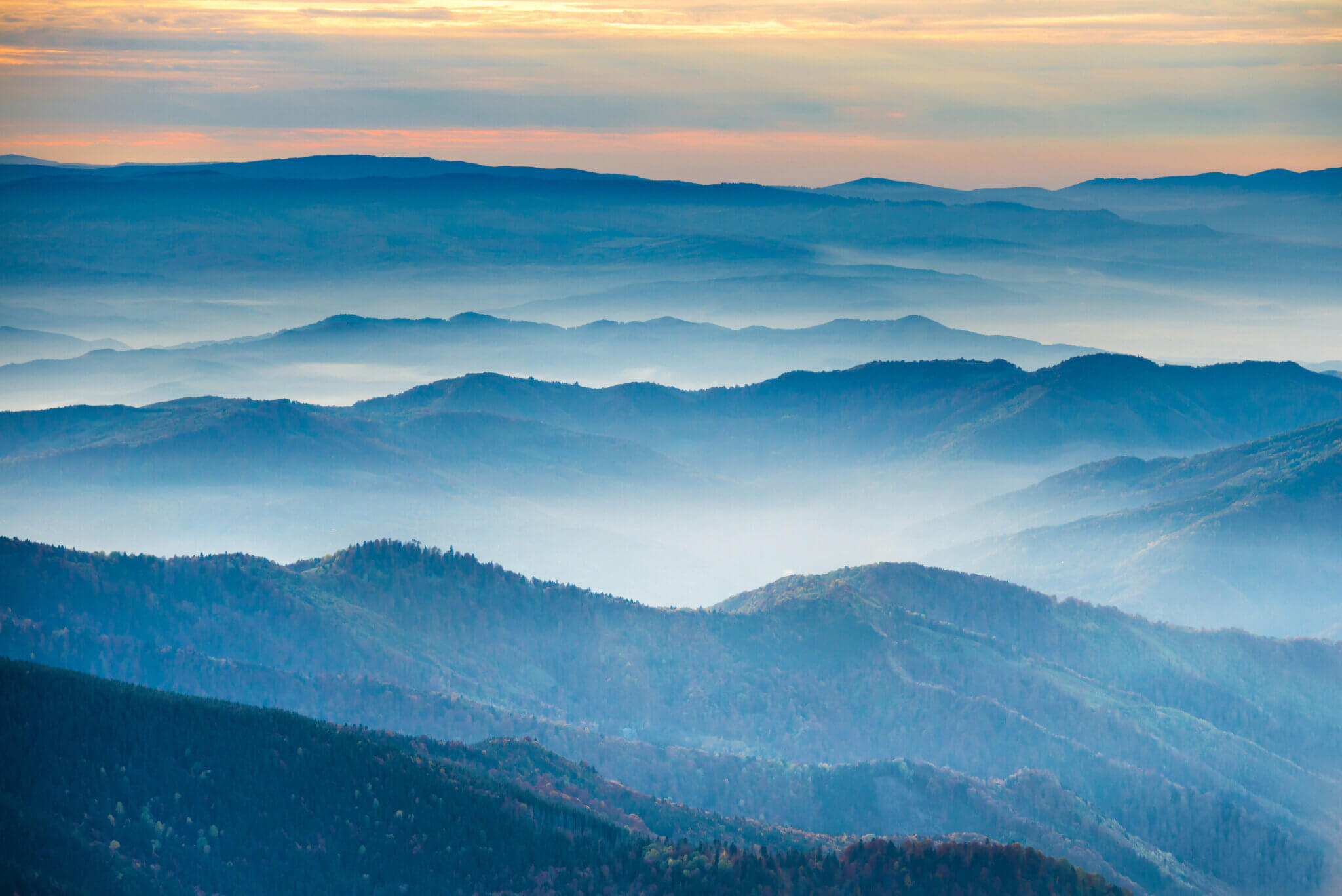 Uncovering the Mystery: The Name 'Smoky Mountains' Revealed ...