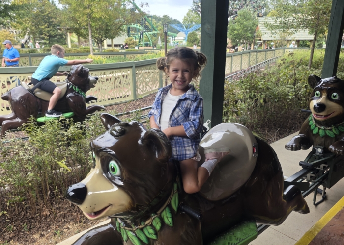 Visiting the Smoky Mountains with Toddlers: The Planning Guide Parents Actually Need