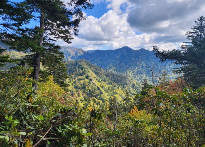 Gatlinburg vs. Pigeon Forge: Which Smoky Mountains Town Is Right for Your Trip?